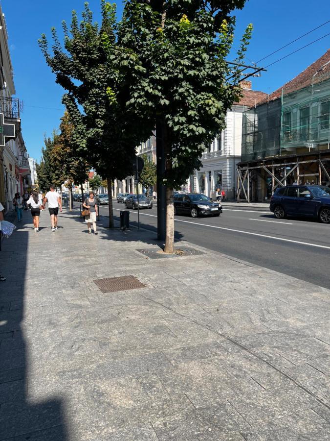 Ndl Downtown Cluj Aparthotel Εξωτερικό φωτογραφία